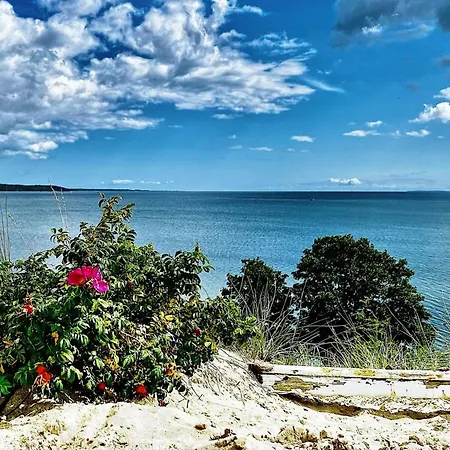 Luxury Retreat By - By Traum 펜션 *